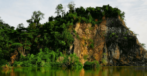 Bukit Batok Town Park