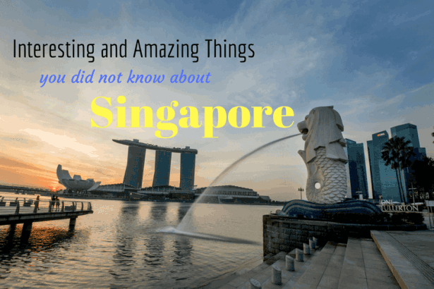 Things you did not know about Singapore - Explore Singapore