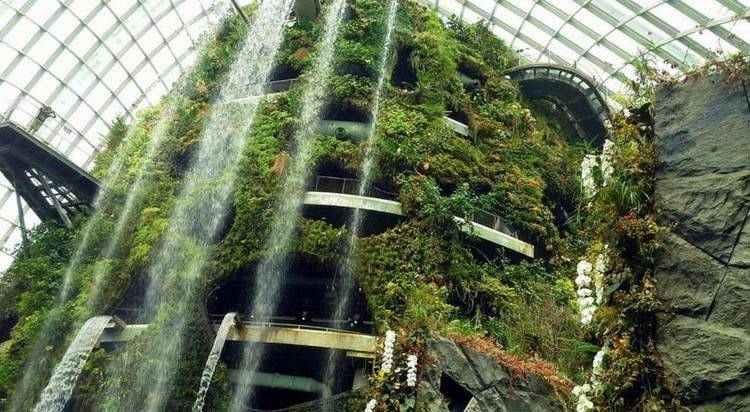 Waterfall at Cloud Forest