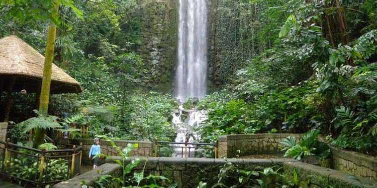 Waterfall at Jurong Bird Park