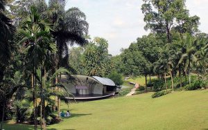 Singapore Botanic Garden