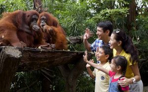 Singapore zoo