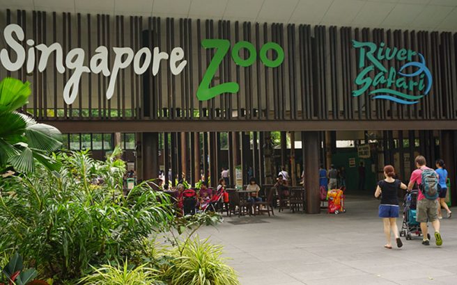 Singapore Zoo Guide (2024) - Attractions, Things to Do, Tickets, Timings