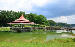 MacRitchie Reservoir in Singapore