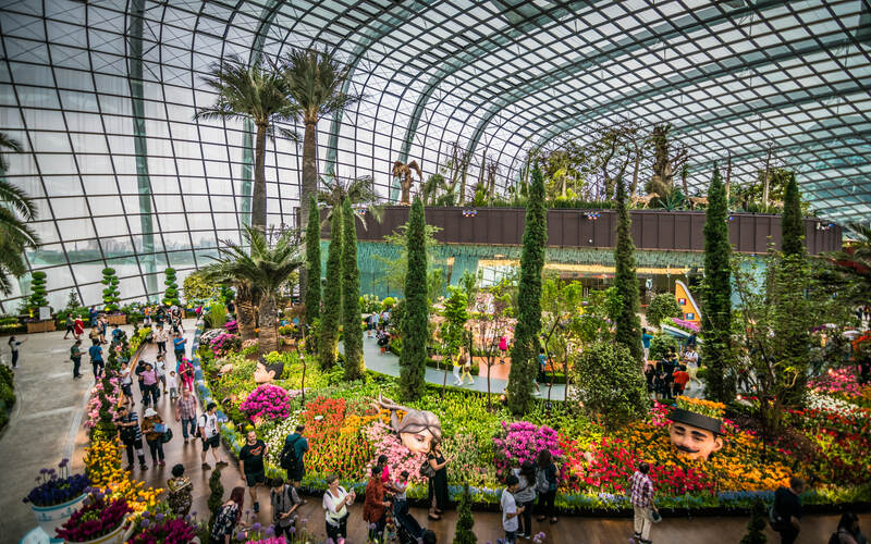 Green Space Cloud Forest