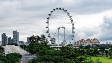 Singapore Flyer Ferris wheel with city skyline views